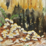 Toadstools. Watercolour on paper. 11x15". Artist Lianne Todd. SOLD Private collection.