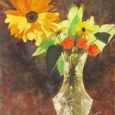Backlit Beauties. Watercolour on Gessoed Paper. 11x15". Artist Lianne Todd. $295.