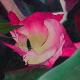 Pollinator Beacon. Watercolour on Paper. 15x22". Artist Lianne Todd. $475.