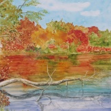 Up the Creek. Watercolour on Yupo. 10x13". Artist Lianne Todd. $215.
