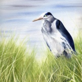 Heron in Salgados Marsh. Watercolour on Paper. 9x12". Artist Lianne Todd.